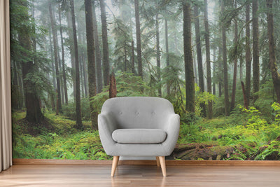 Hoh Panoramic Rain Forest Wall Mural