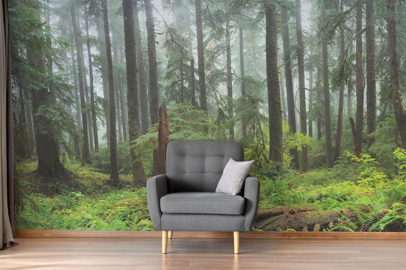 Hoh Panoramic Rain Forest Wall Mural