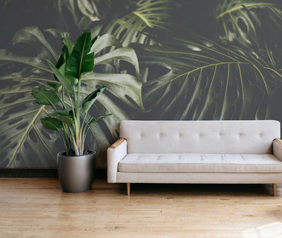 Night time Monstera Leaves Wall Mural-Wall Mural-Eazywallz