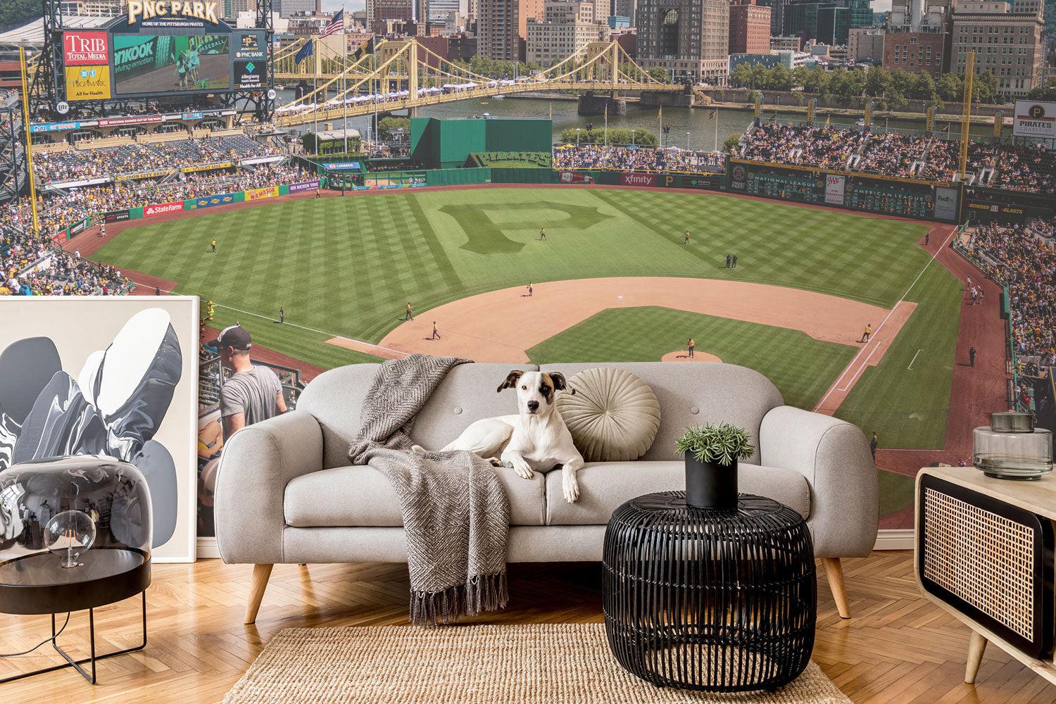 Pittsburgh Pirates/PNC Park Wall Mural